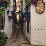 Calle San Basilio - Patios. Aparcamiento Gratis Apartamento Córdova