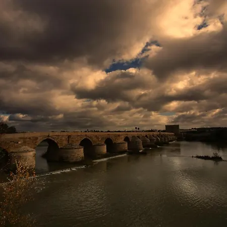 Apartment Calle San Basilio - Patios. Aparcamiento Gratis *