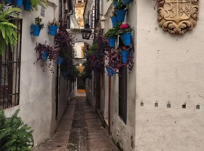 Calle San Basilio - Patios. Aparcamiento Gratis 아파트 코르도바