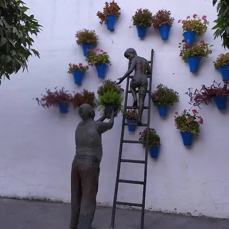 公寓 Calle San Basilio - Patios. Aparcamiento Gratis