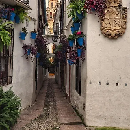 Calle San Basilio - Patios. Aparcamiento Gratis Apartmán Córdoba
